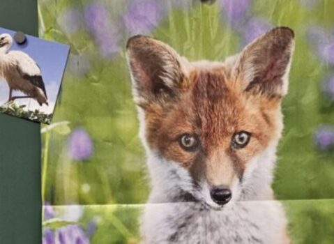 Spendenflohmarkt der Klassen 2c und 2d